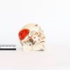 Explanatory Skull (0078)