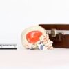 Explanatory Dental Skull (0086) - Image 2