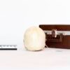 Explanatory Dental Skull (0086) - Image 4
