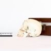 Explanatory Dental Skull (0086) - Image 3