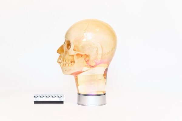 Phantom Skull - Image 3