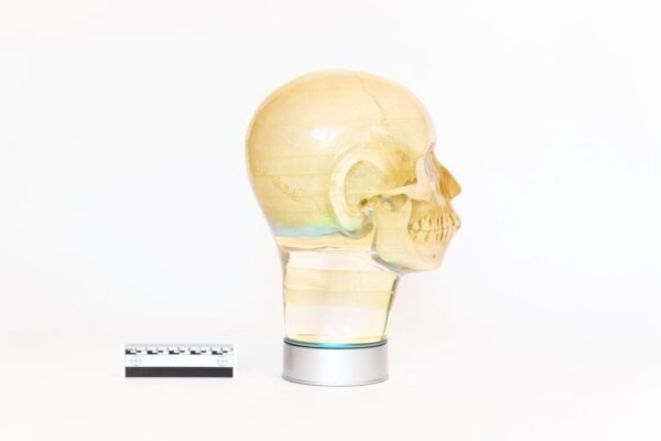 Phantom Skull - Image 2