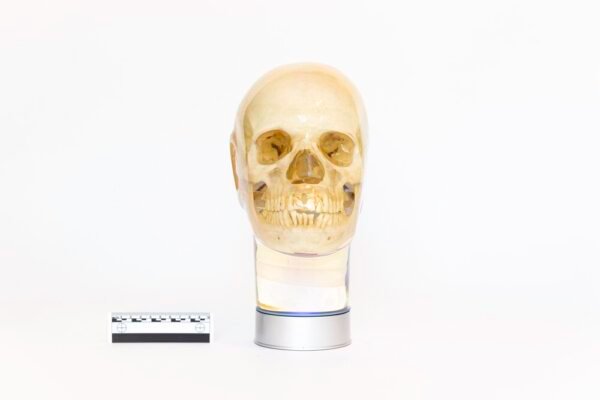 Phantom Skull