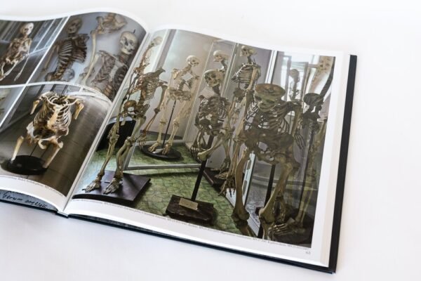 The Fool's Tower (German Version) - Image 5