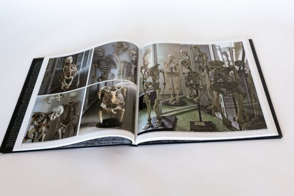 The Fool's Tower (German Version) - Image 4