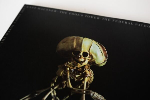 The Fool's Tower (English Version) - Image 6
