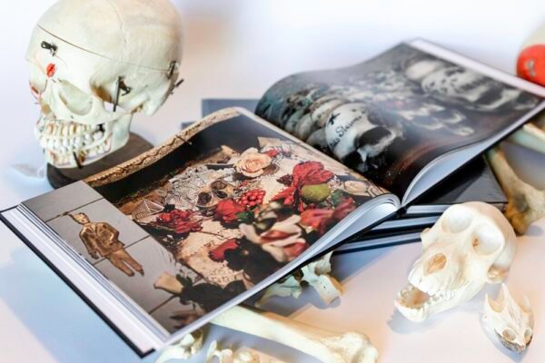 Eternal Rest: Ossuary Aesthetics - Image 3