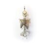 Human Torso and Skull (0913)