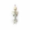 Human Torso and Skull (0913) - Image 4