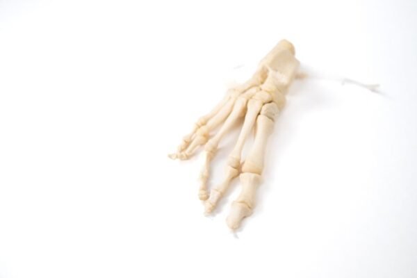 Articulated Foot (F-011) - Image 3