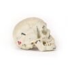 Demonstrative Skull (0186) - Image 3