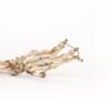Arm Articulation  - Image 2