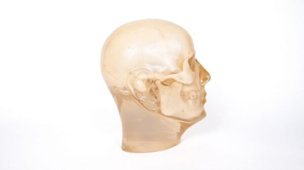 Phantom Skull (PH-04) - Image 3