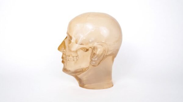 Phantom Skull (PH-04) - Image 2