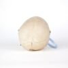 Medical Skull (0206) - Image 4