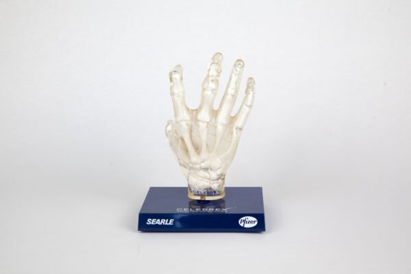 Phantom Hand Teaching Model