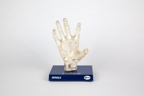 Phantom Hand Teaching Model - Image 4