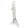 Articulated Human Skeleton (920)