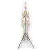 Articulated Human Skeleton (920) - Image 3