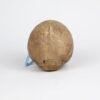 Half-Skeleton Bone Box (0244) - Image 8