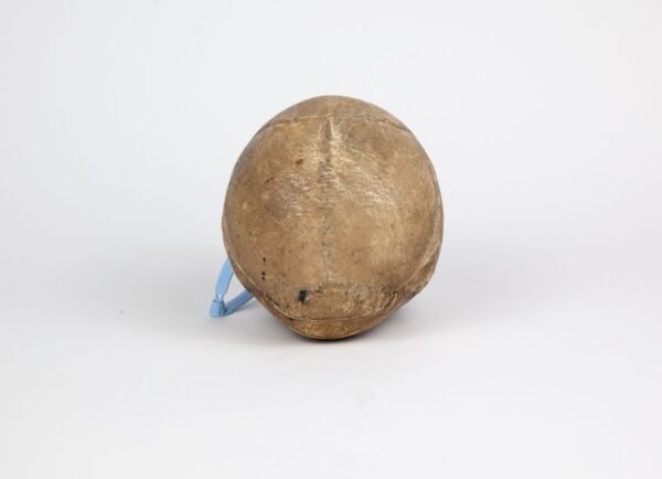 Half-Skeleton Bone Box (0244) - Image 8