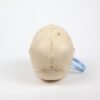 Pediatric Skull (0239) - Image 4
