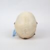 Kilgore Demonstrative Skull (0255) - Image 4