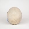 Medical Skull (0268)  - Image 4