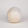 Medical Skull (0280)  - Image 4