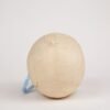 Uncut Geriatric Skull (0284) - Image 4