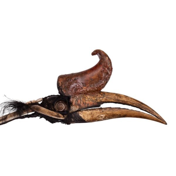 Rhinoceros Hornbill Skull Tribal Necklace

31222