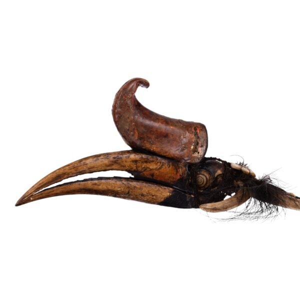 Rhinoceros Hornbill Skull Tribal Necklace

31222 - Image 2