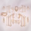Disarticulated Skeleton with Carrying Case

(30158)