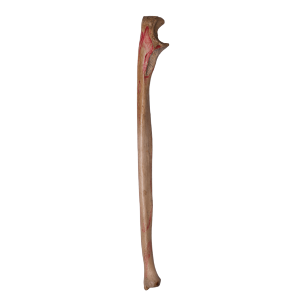 Ulna - Antique

12597-A - Image 2