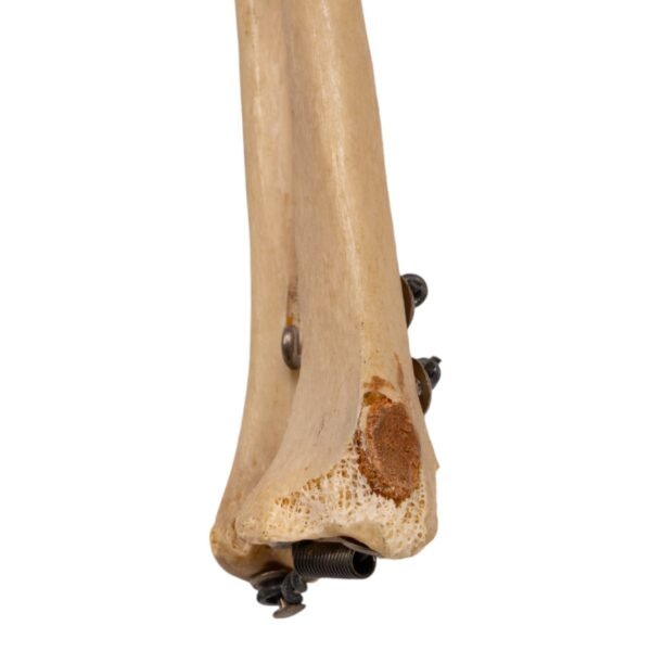 Left Arm - Articulated, Partial - Image 4
