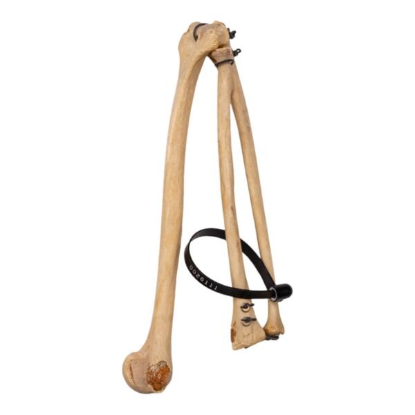 Left Arm - Articulated, Partial - Image 2