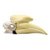 Replica Black Hornbill Skull
175 - Image 2