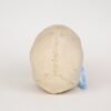 Uncut Medical Skull (0326) - Image 4