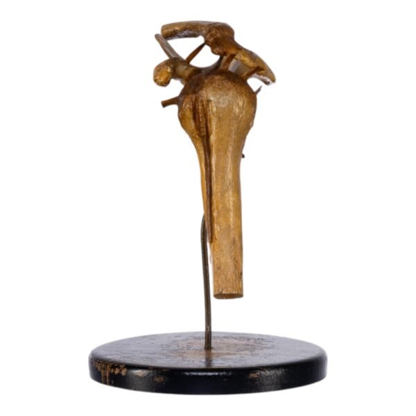 Human Left Shoulder Joint on Stand

(0693) - Image 2