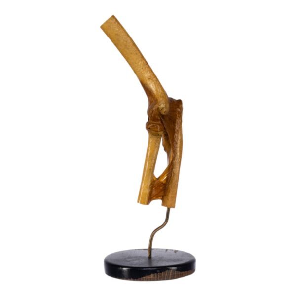 Human Elbow Joint on Stand

(0692) - Image 2