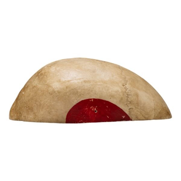 Calvaria - Painted

(11155) - Image 2