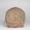 Uncut Medical Skull (0403) - Image 2
