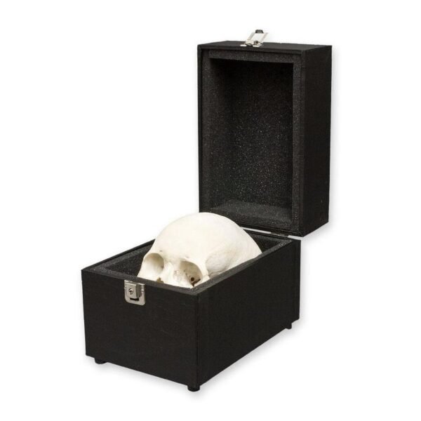 Human Skull Carrying Case

(1890)