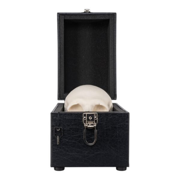 Human Skull Carrying Case

(1890) - Image 3