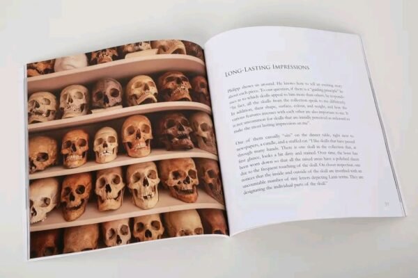 Ossuary Aesthetics - Image 3