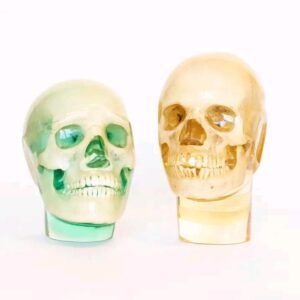 training skull
(33775)
