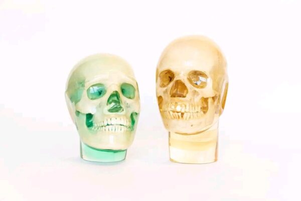 training skull
(33775)